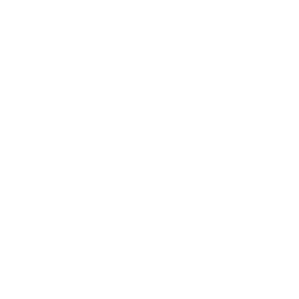 sft-logo-cube-trasp-05